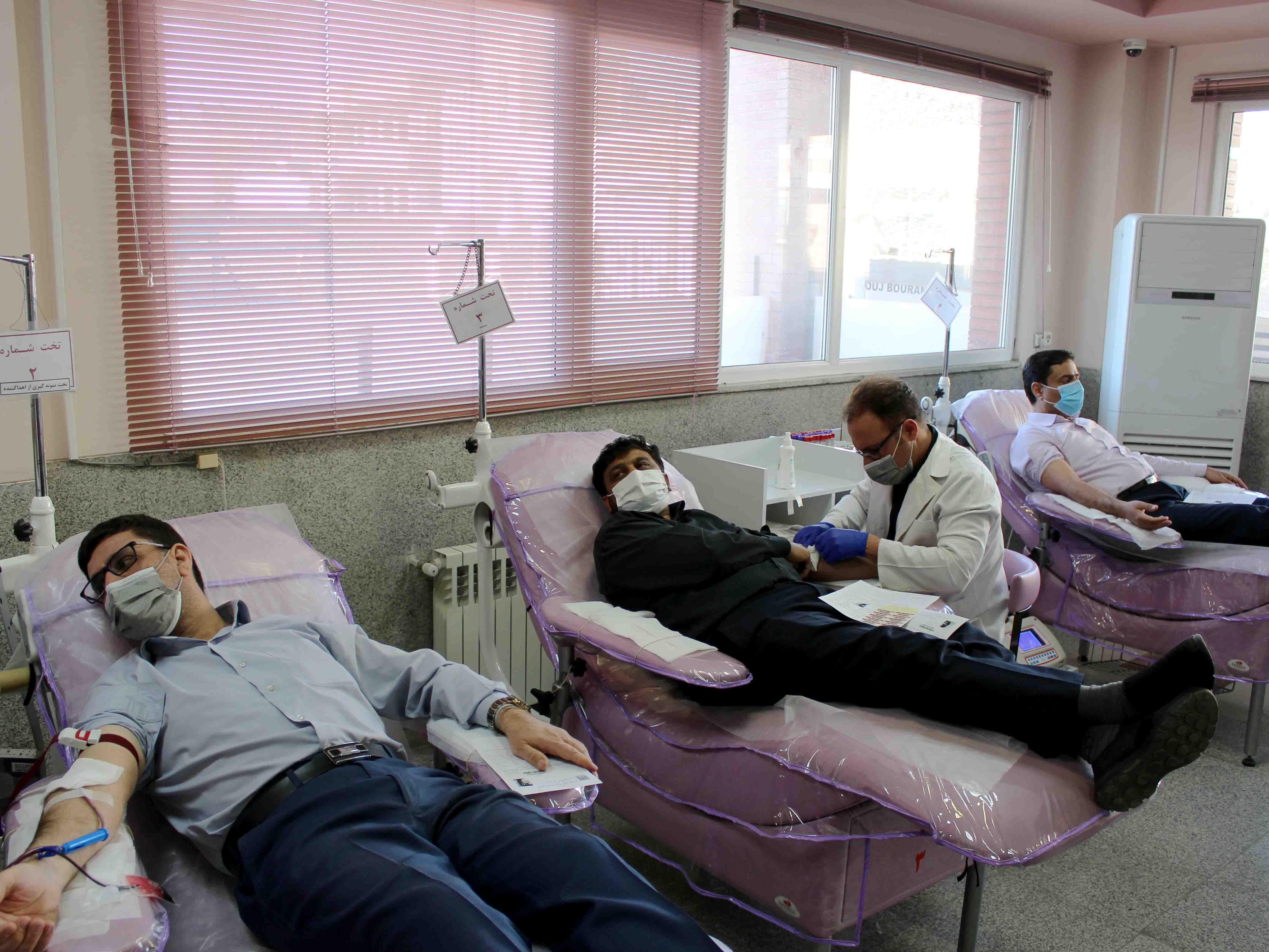 اهدای خون توسط کارکنان مدیریت شعب استان یزد
